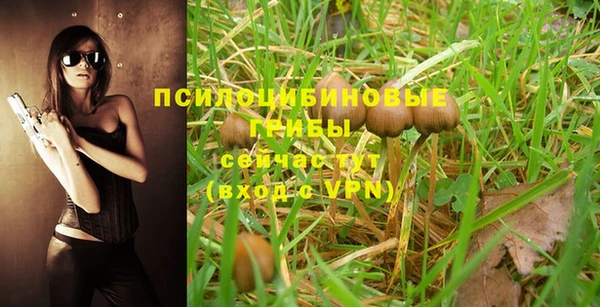 jwh Зерноград