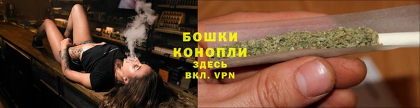 крисы Зеленокумск