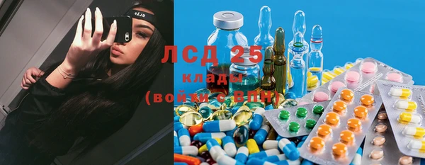 крисы Зеленокумск