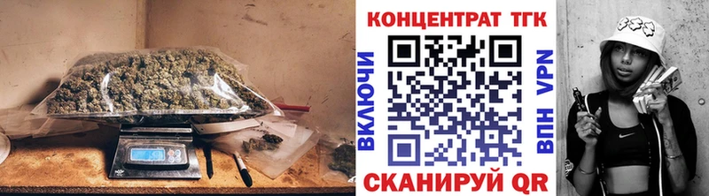 Купить закладки  Пудож  Дистиллят ТГК концентрат 