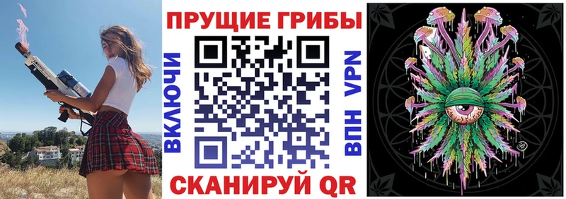 Псилоцибиновые грибы Magic Shrooms  Купить где  Пудож 